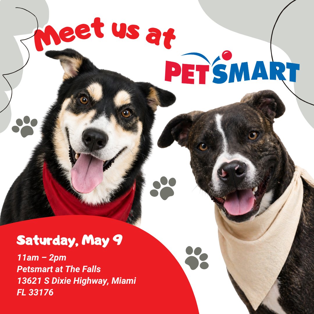 paws4you's tweet photo. Join us this Saturday at PetSmart! 🥰 #PAWS4you https://t.co/fB9qBs6mSI