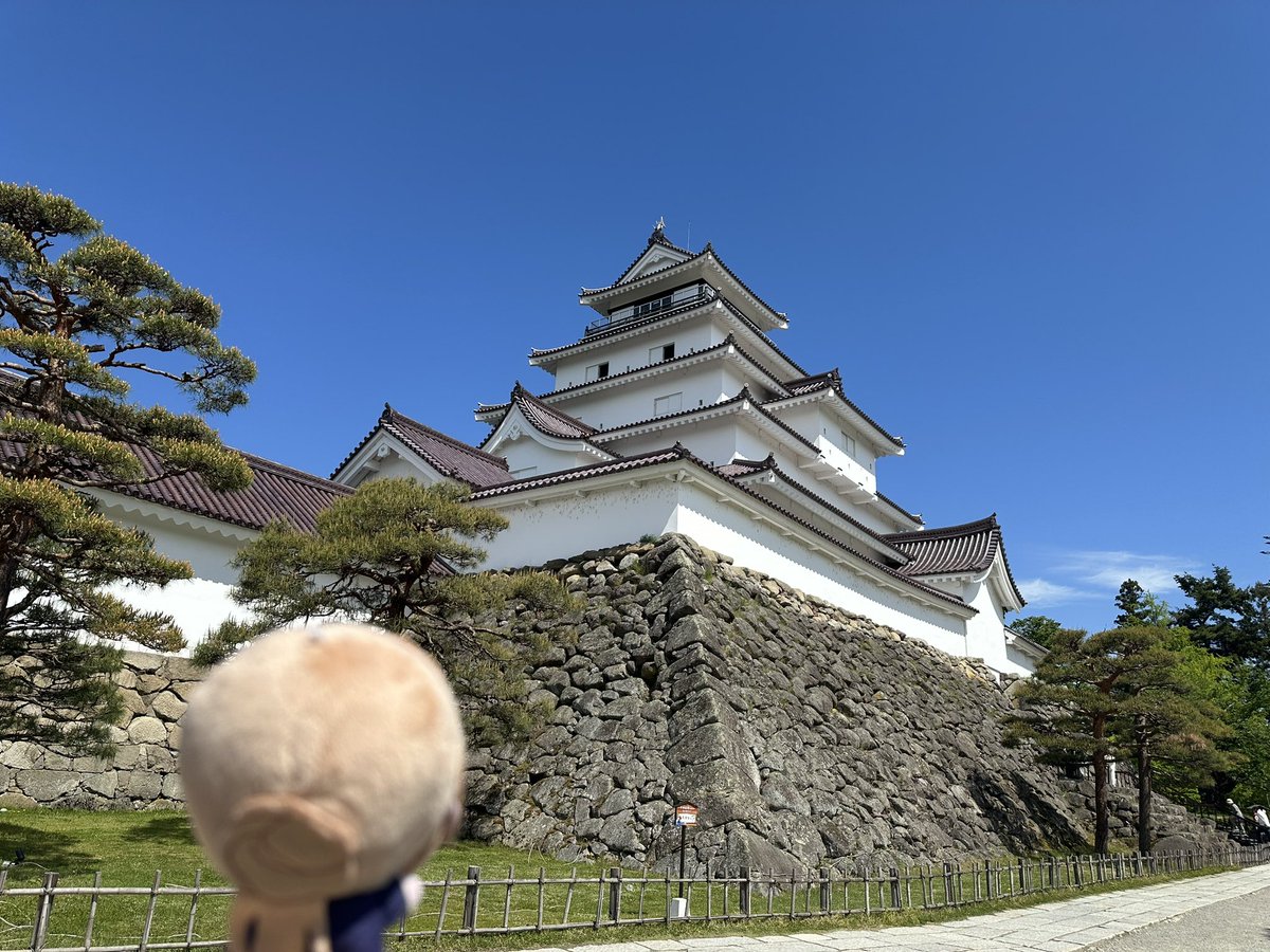HAMYU（はみゅー）🇩🇪🇮🇹 tweet media