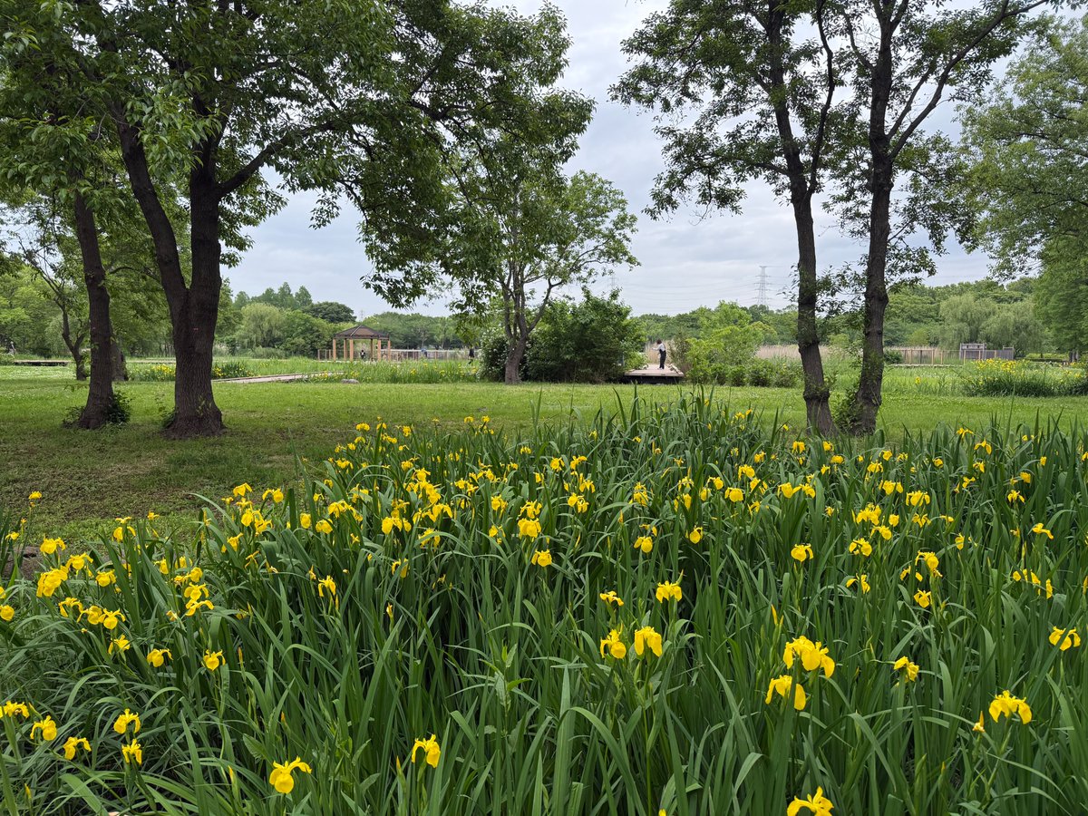 都立舎人公園 tweet media