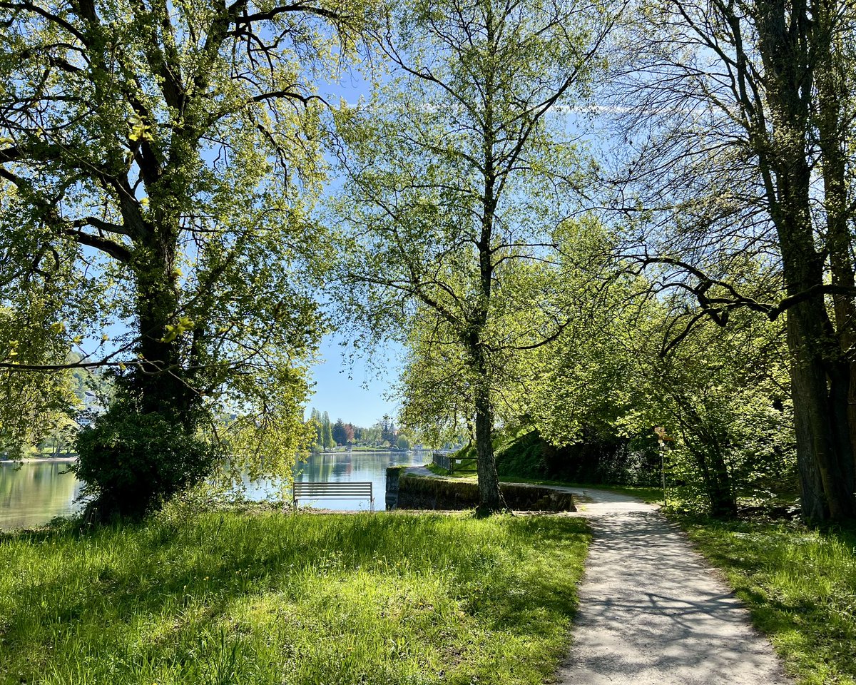 hrschnyder tweet media