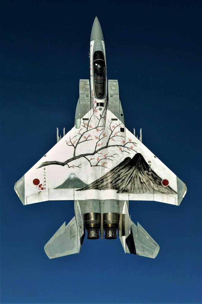 samuelr_sr's tweet image. F-15 J 

#poster
#avgeek
#aviationdaily