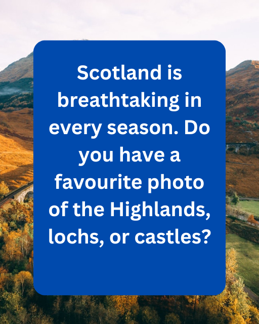 lovescotland tweet media