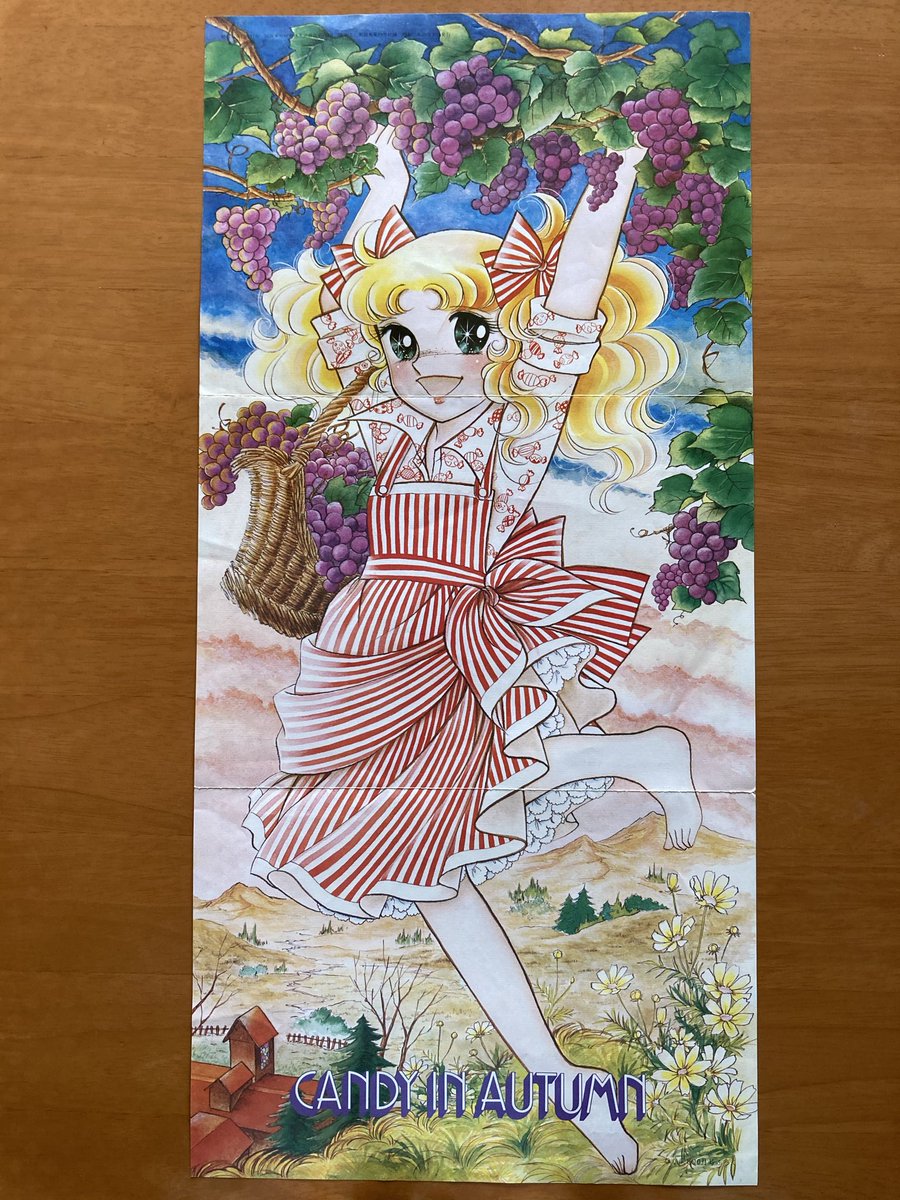 キャンディキャンディ