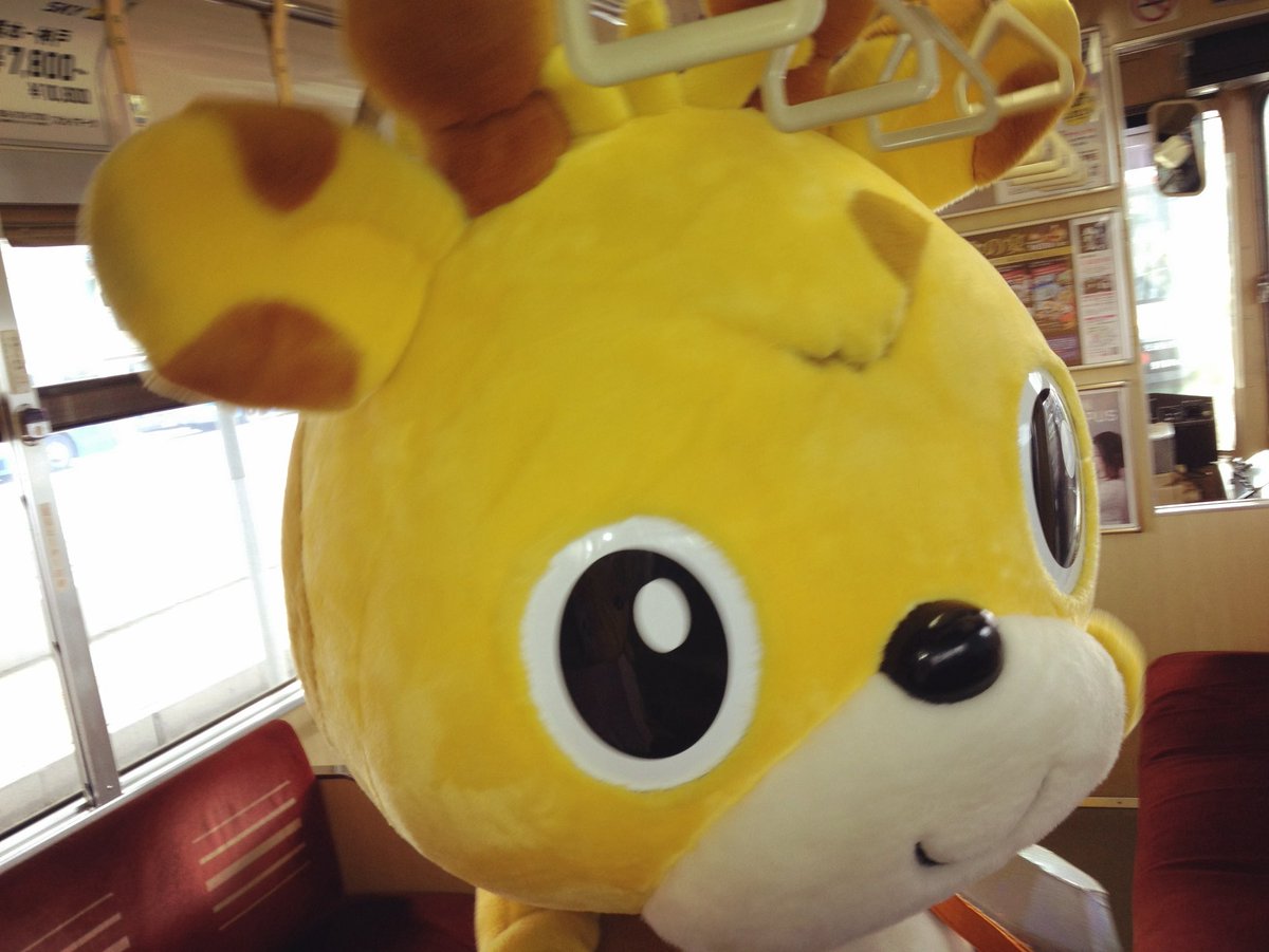 いしきりん tweet media