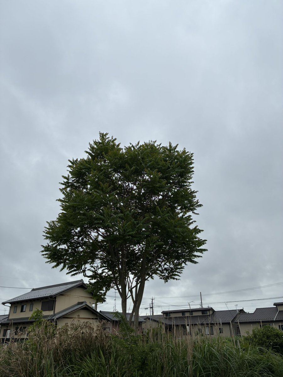 おはようございます☕️☁️∠(￣^￣)5月6日水曜日

連休も今日まで-ࡇ-ハァ
休みがあっという間！あと2日あればなぁてな気分😮‍💨けど今日も皆さん良い一日が過ごせるように素敵な一日を過ごしましょう(๑•̀ㅂ•́)و✧✨

今日も一日皆さんよろしくお願いします(´▽`)ﾉ☆。.:＊・゜