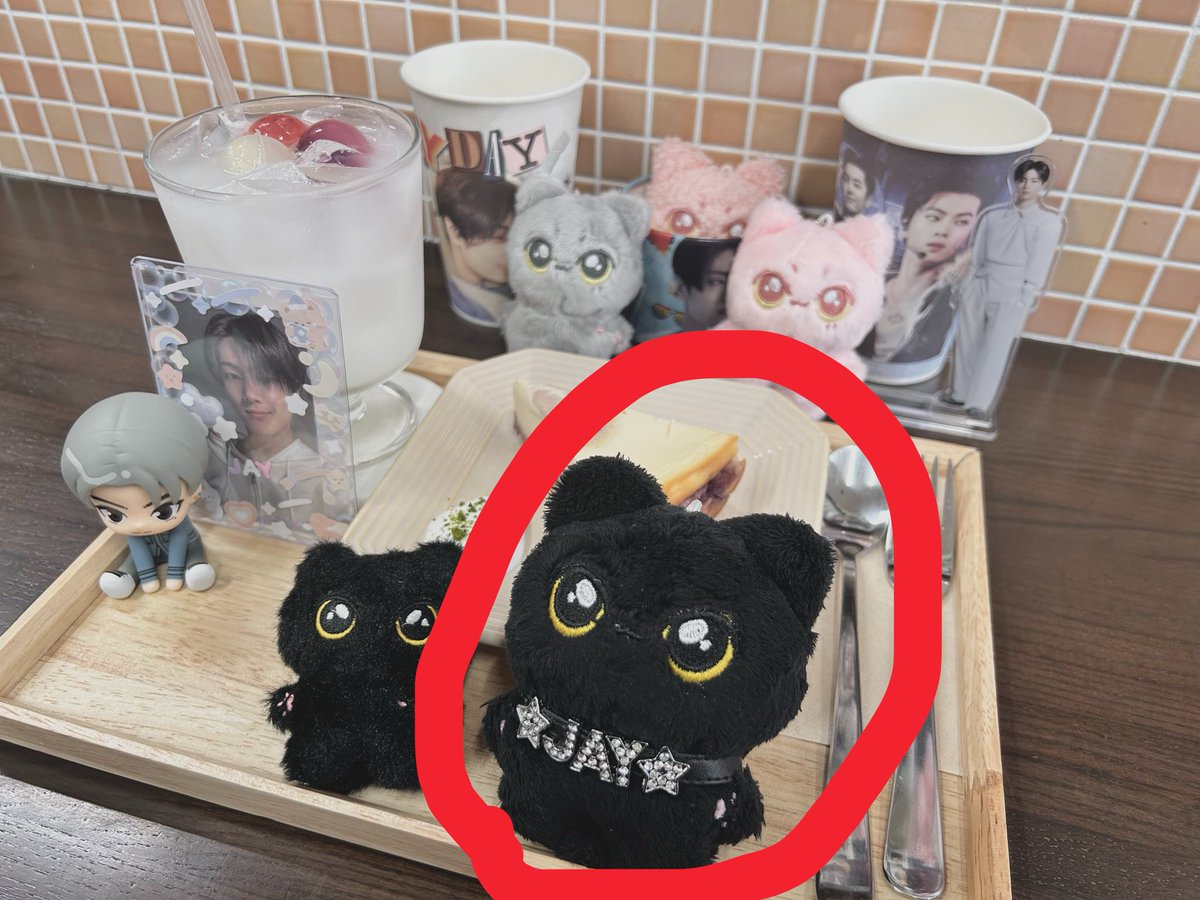 【探しています】
5月5日に画像のぬいぐるみを落としてしまいました
見つけた方はご連絡いただけますと幸いです

・黒い猫 (ENHYPEN ジェイ)
・首輪付き (⭐︎JAY⭐︎)
・安達太良・長者原・錦秋湖SA (下線)、秋田市の華の湯
・ポーチに入っている
#落とし物　#探し物　#拡散希望
#福島 #宮城 #秋田
