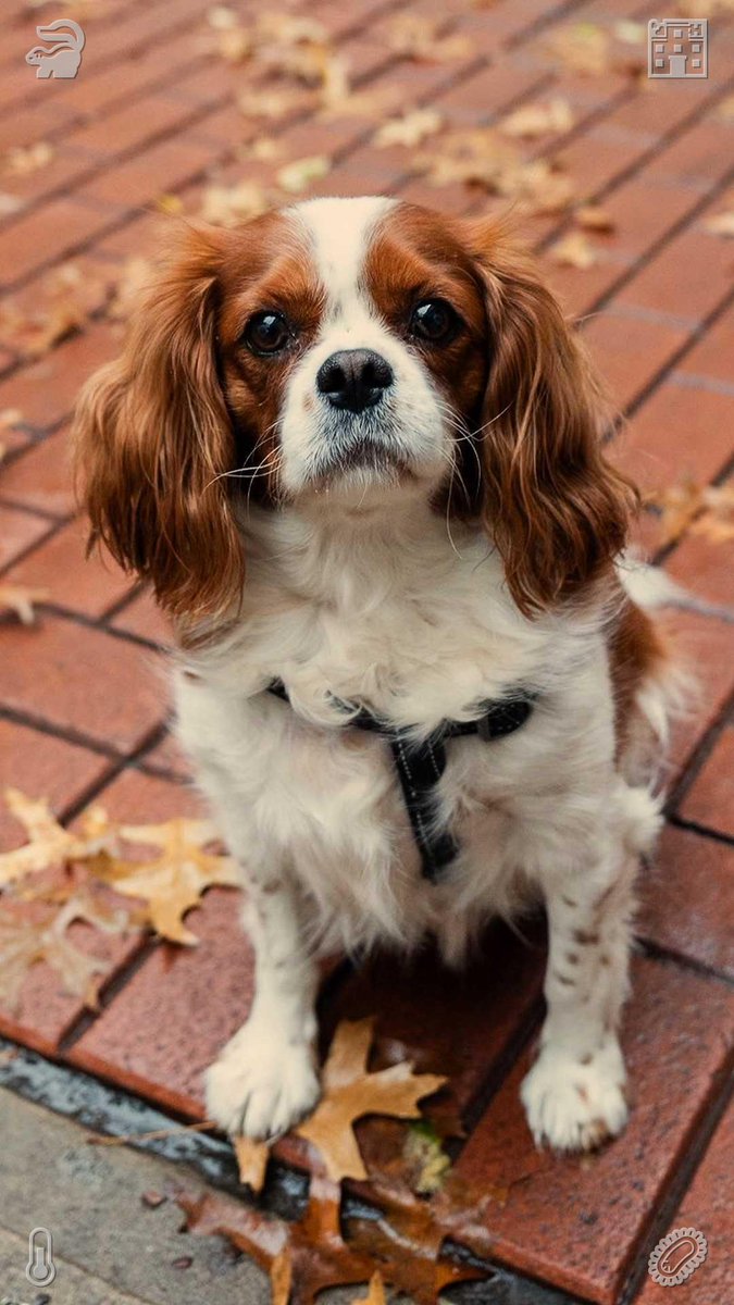 psom_r's tweet photo. I am prepared for all the positive things headed my way. https://t.co/MNN4ISodbI