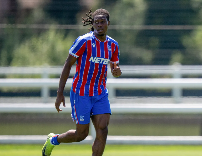 sportingshina's tweet photo. Crystal Palace defender Tayo Adaramola 🇳🇬has received his first call-up to the Republic of Ireland senior squad. https://t.co/2dMZOxarZg