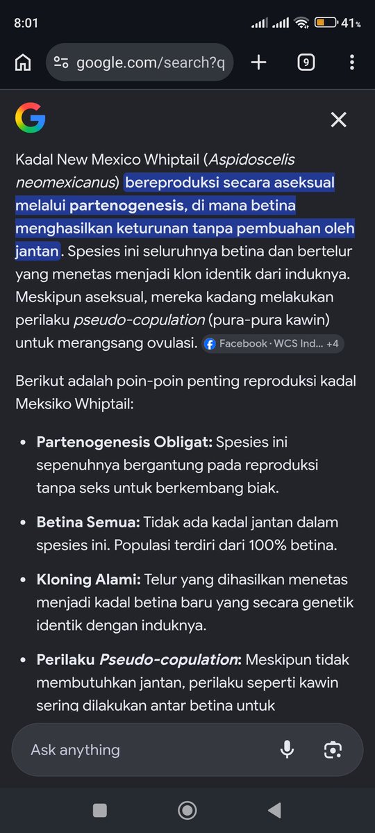 Maifate tweet media