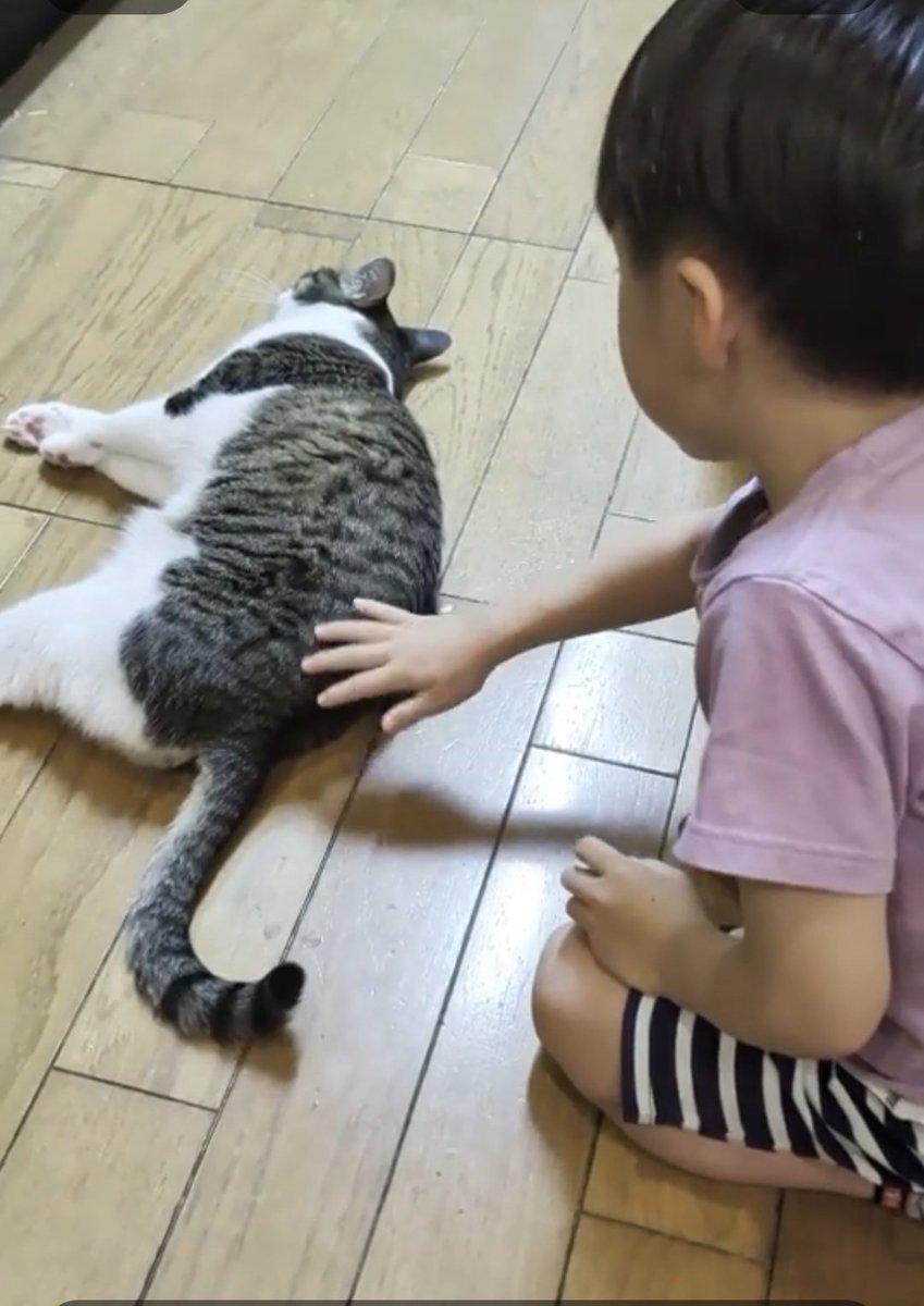 ナギ(猫の従者たれ) tweet media