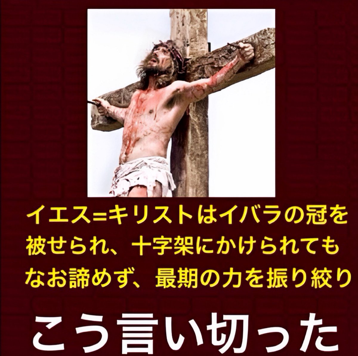 西村蜜子Infinity tweet media