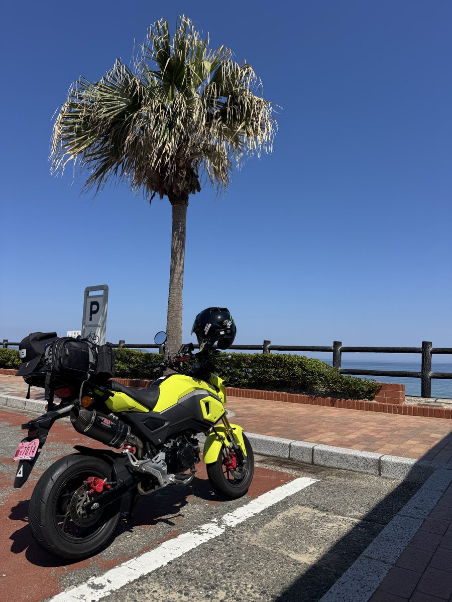 ろびんず tweet media