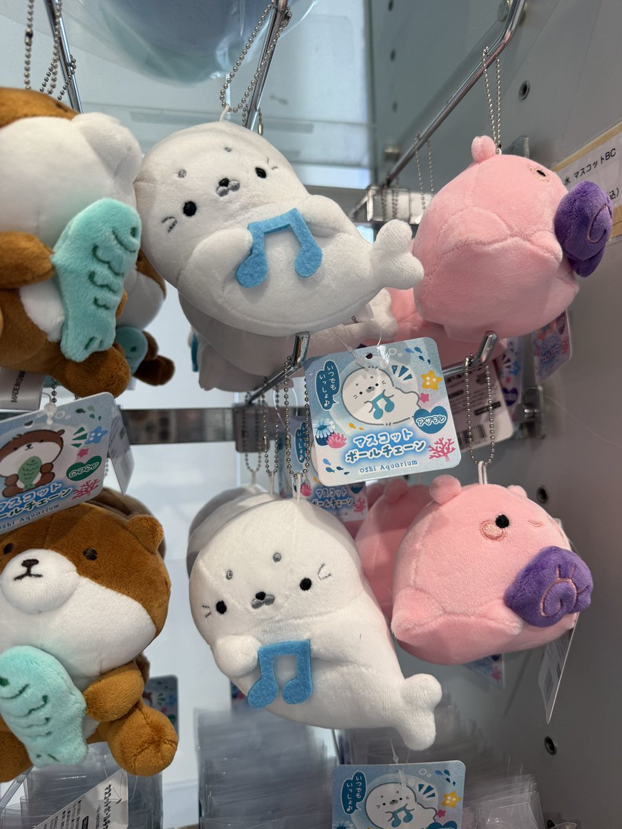 𝕄 𝔼 𝕎 tweet media