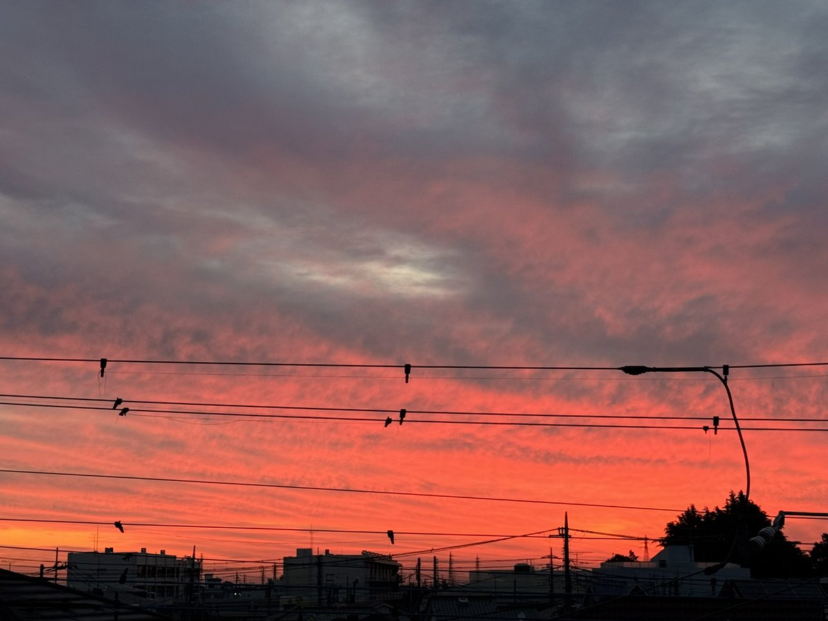 らいむぎ tweet media