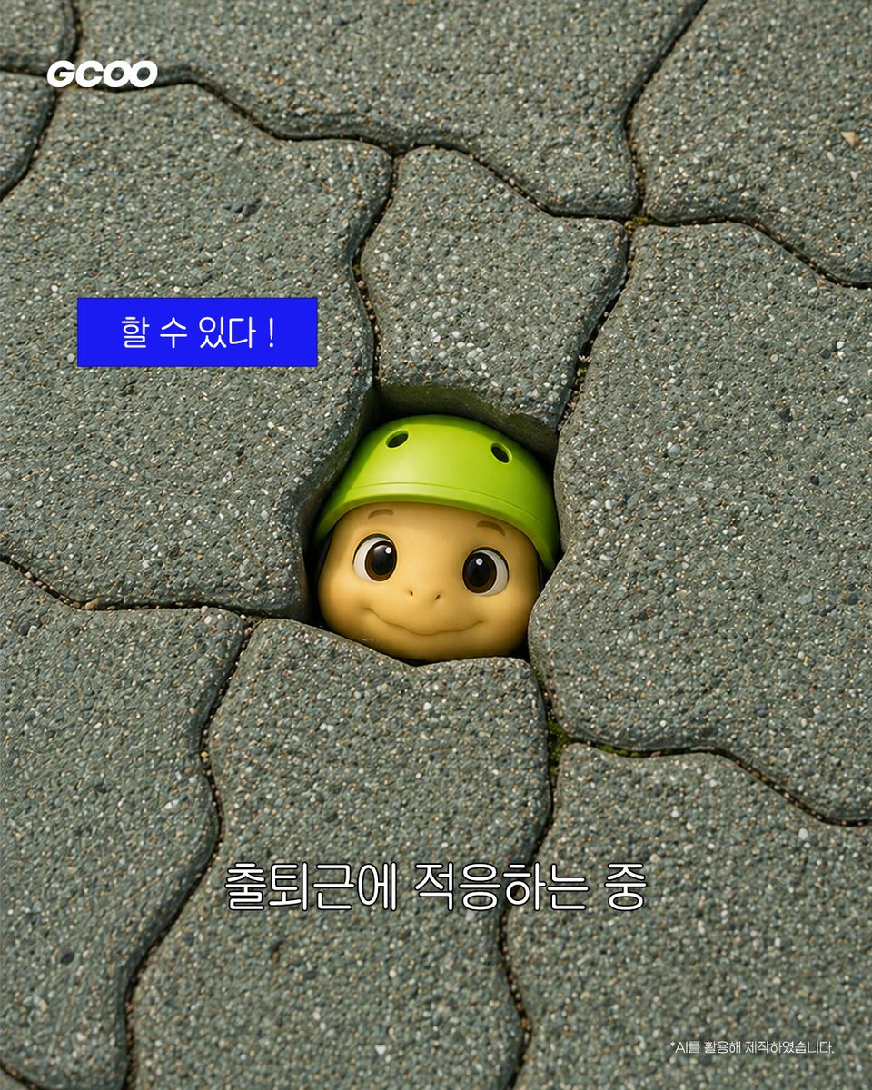 지쿠 tweet media