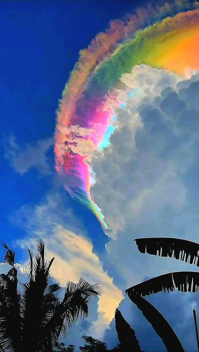 ElBoletinSV's tweet image. 🌈✨  #Indonesia EL CIELO SE PINTÓ DE #colores  🇮🇩☁️

Un espectáculo que parece sacado de un filtro… pero 100% real 😮🔥

#Nubes #iridiscentes cubrieron el cielo con tonos rosa, verde, azul y violeta, dejando a todos los que miraban simplemente sin palabras 🎨💫

🌌👀📸
