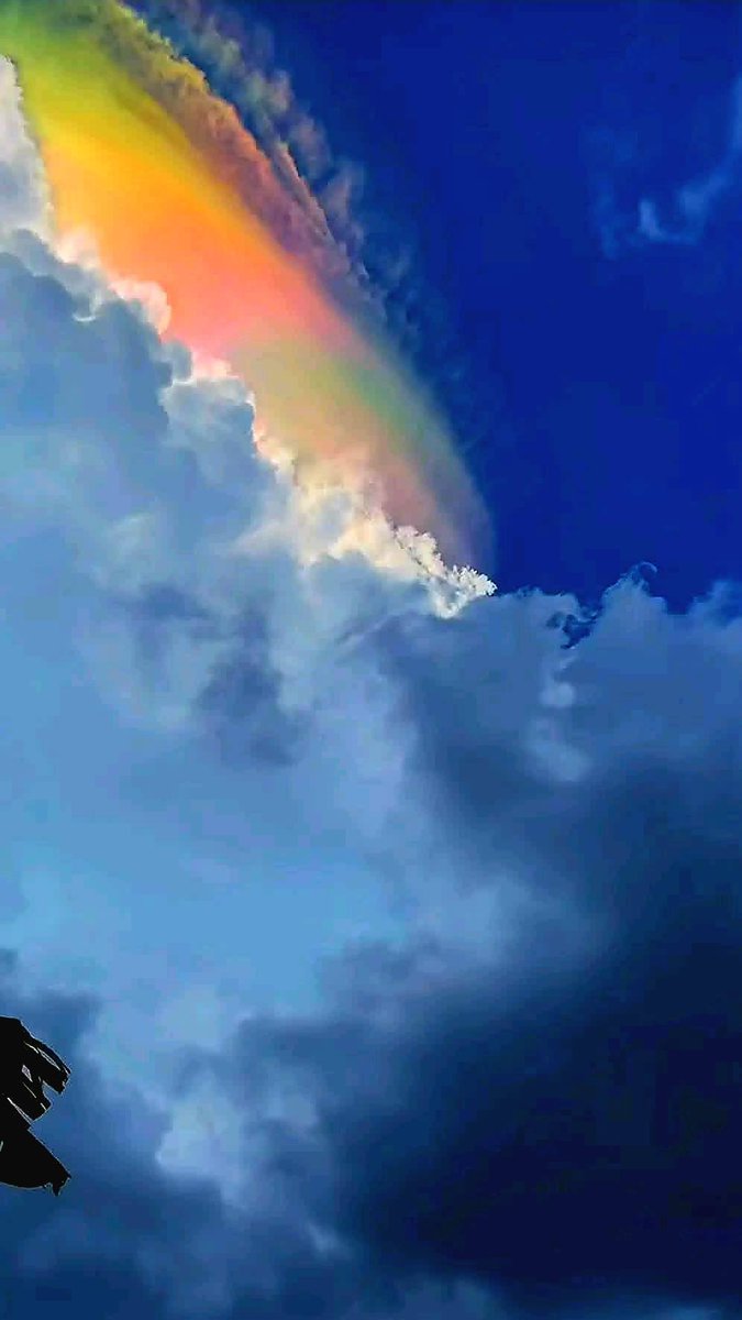 ElBoletinSV's tweet image. 🌈✨  #Indonesia EL CIELO SE PINTÓ DE #colores  🇮🇩☁️

Un espectáculo que parece sacado de un filtro… pero 100% real 😮🔥

#Nubes #iridiscentes cubrieron el cielo con tonos rosa, verde, azul y violeta, dejando a todos los que miraban simplemente sin palabras 🎨💫

🌌👀📸