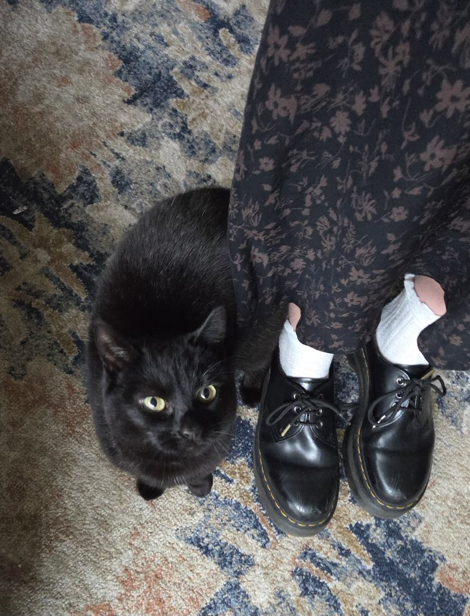 Black cats are not bad luck tweet media