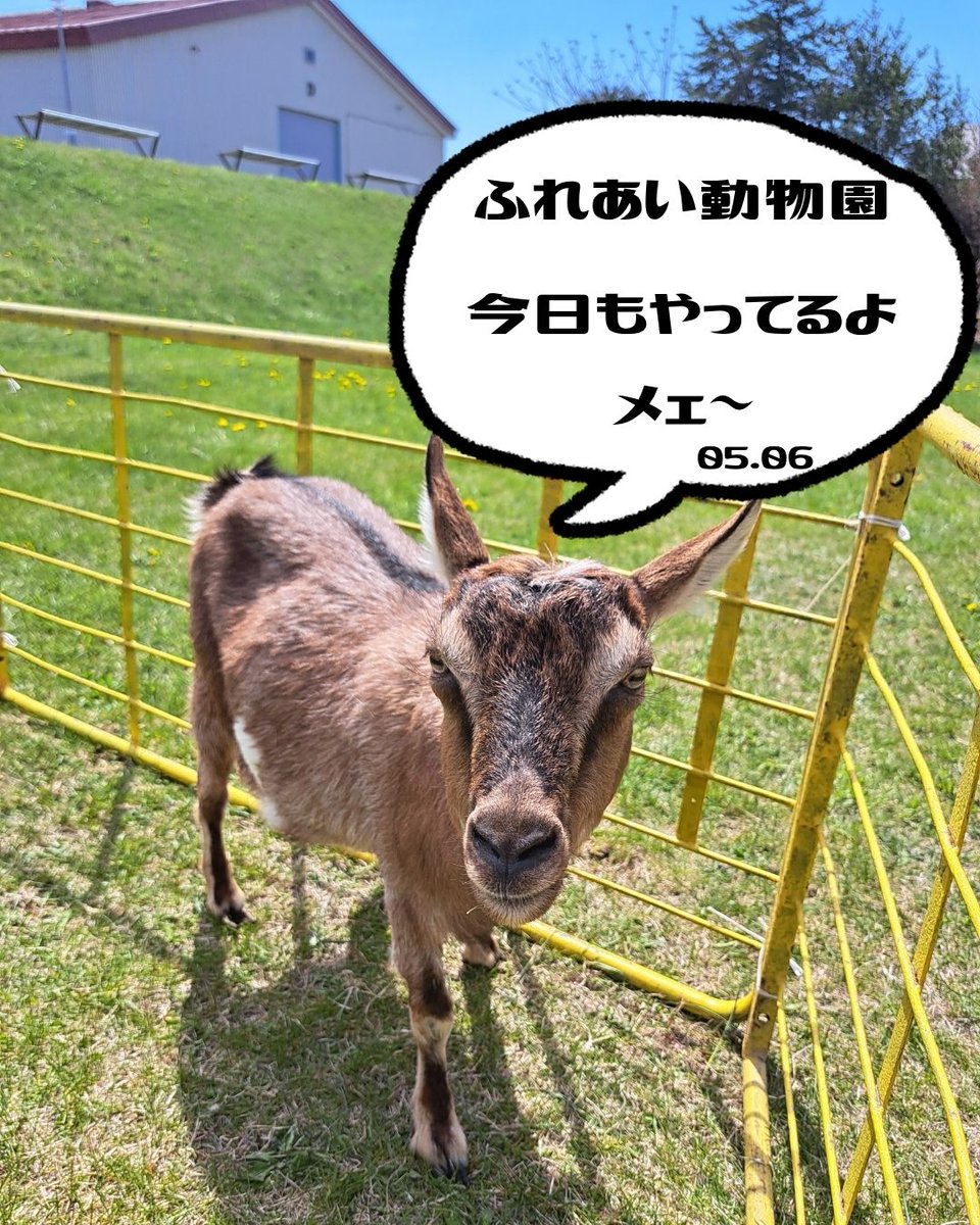 いけだワイン城【公式】 tweet media