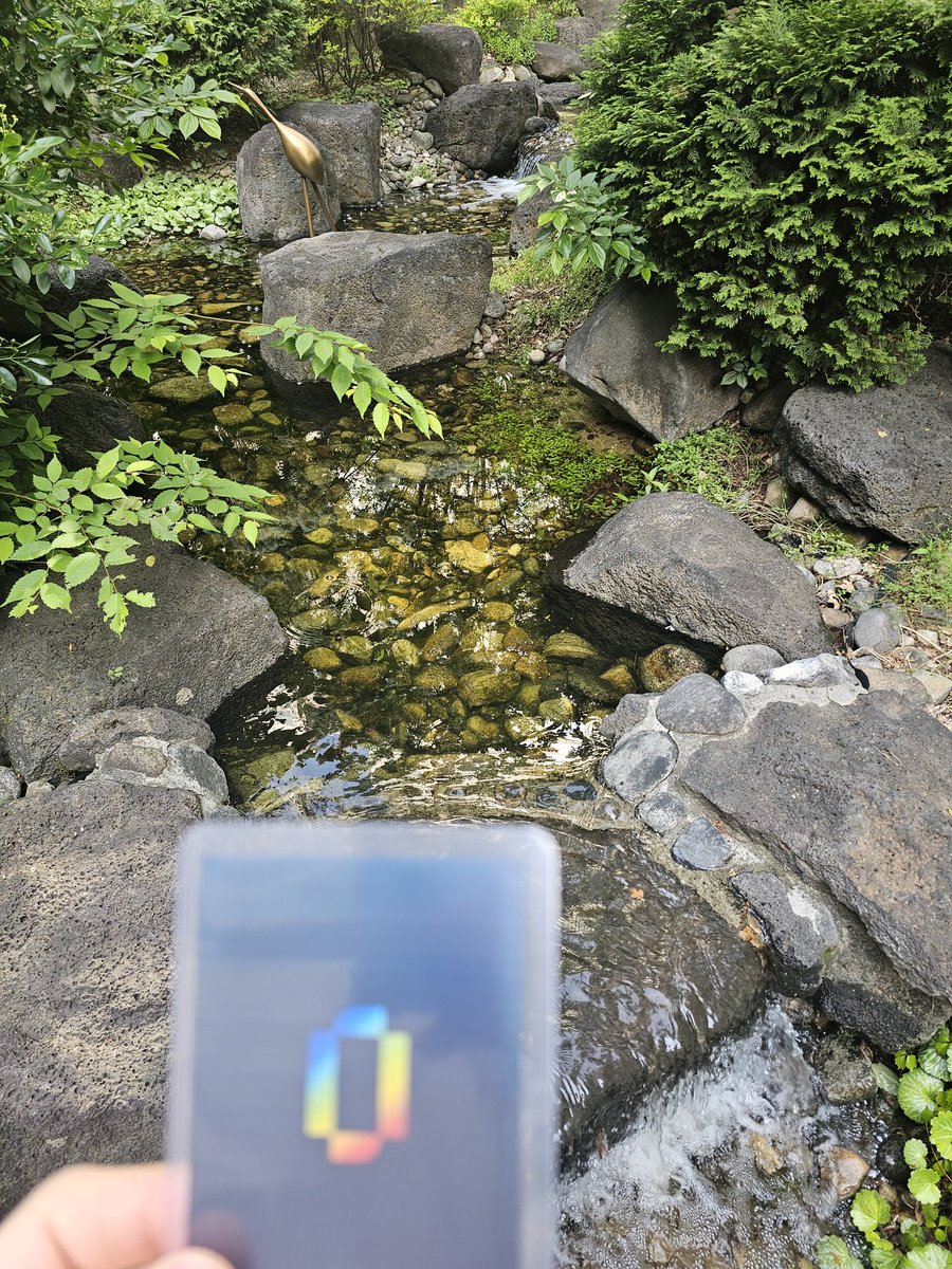 minis_lee's tweet image. Nature &amp;amp; Renaiss. ⛰️💎
Taking a healing break by the stream with my collection. 
Best way to recharge! @renaissxyz #Renaiss #Hiking #Healing