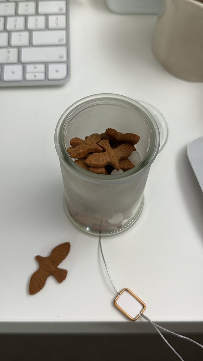 decarchive_'s tweet photo. 시나몬맛 은은하게 나는 로투스와는 또 다른 화과자 매일 하나씩만 먹는 중… https://t.co/7SI9sS0zZA