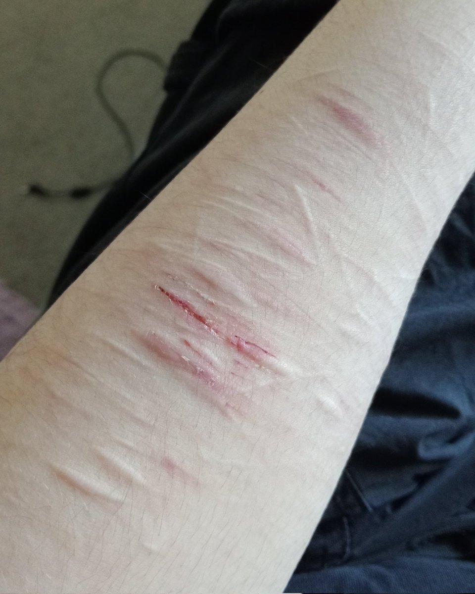 KittyCat_Khill's tweet photo. Sometimes I question how I could've done this to myself and then decide I don't care because I can't take it back
#shtwt https://t.co/I3KMatGzvH