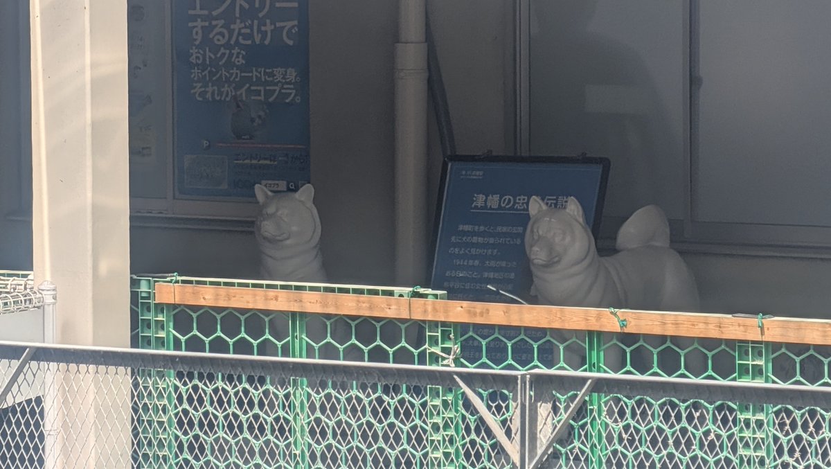 逢乱堂 tweet media