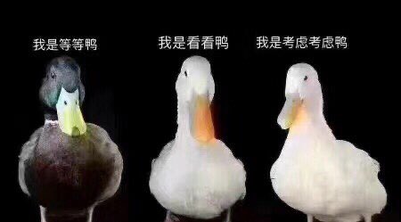 暂定新品以及断货的畅销款9号飞机回国～
千万别让变强路上三只鸭永远拦着你的去路，效果是用出来的，你不尝试永远不知道效果到底怎么样。
欢迎各位老板加v咨询以及下单 https://t.co/OPbjEa4hop