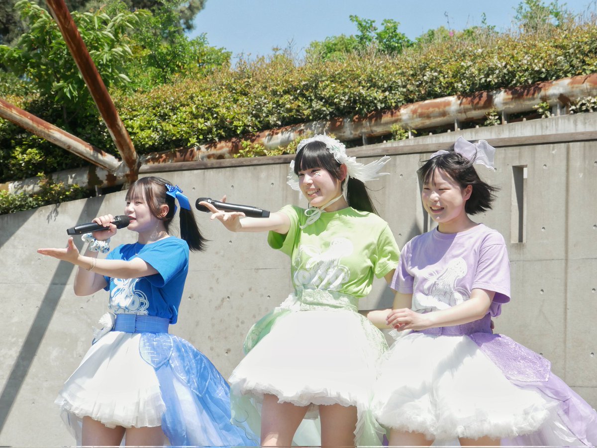 かもめ26号 tweet media