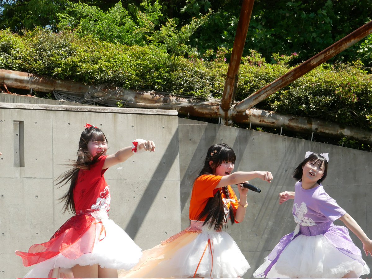 かもめ26号 tweet media