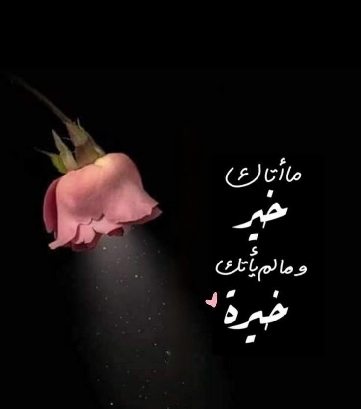 Badriya Alajmi tweet media