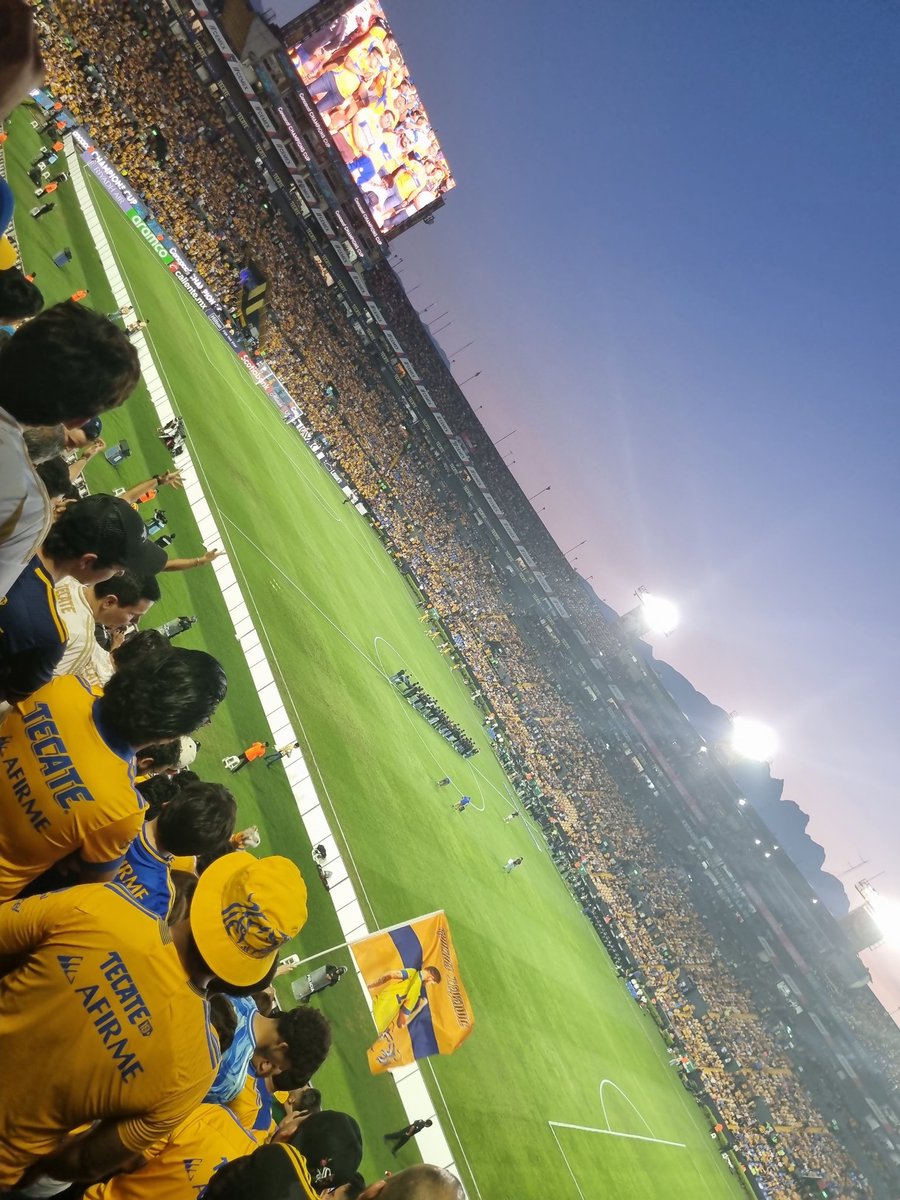 Hasta la madre, como debe ser 👊🐯