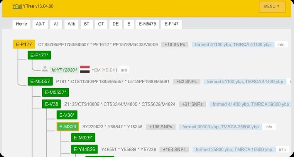 العربي tweet media