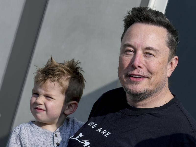 Not Elon Musk tweet media