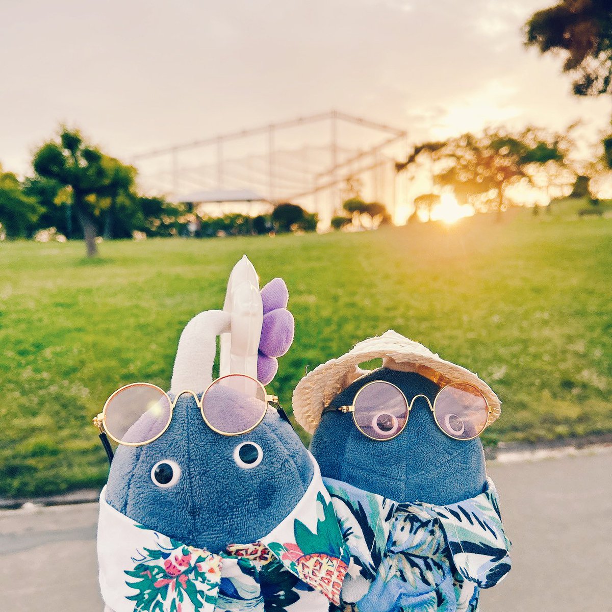すでに夏気分の岩ぬい🪨🪨