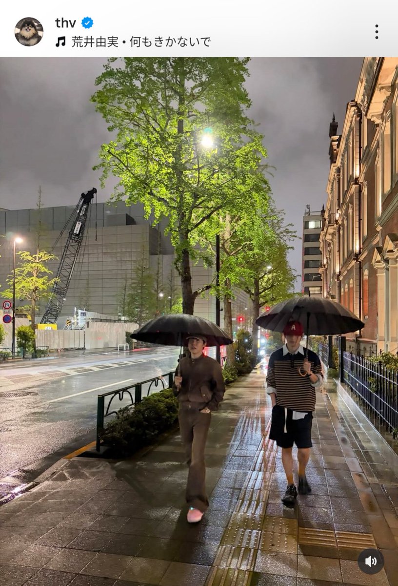 チョコ🇯🇵ARIRANG🏟️🐨🐹🐱🐿️🐥🐻🐰💜 tweet media