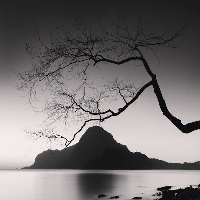 artlimitednet's tweet photo. Silence by Rafal Krol https://t.co/fXk6SEdC4W
#blackandwhitephoto #waterscape #digital #bnwphotos #rafal #bwsquare @canonusaimaging #square #longexposure_shots #palawan #blackandwhite #silence #slowshutterspeed #photographyislifee #philippines #sunset #monoart #krol… https://t.co/GNvP45AVqo