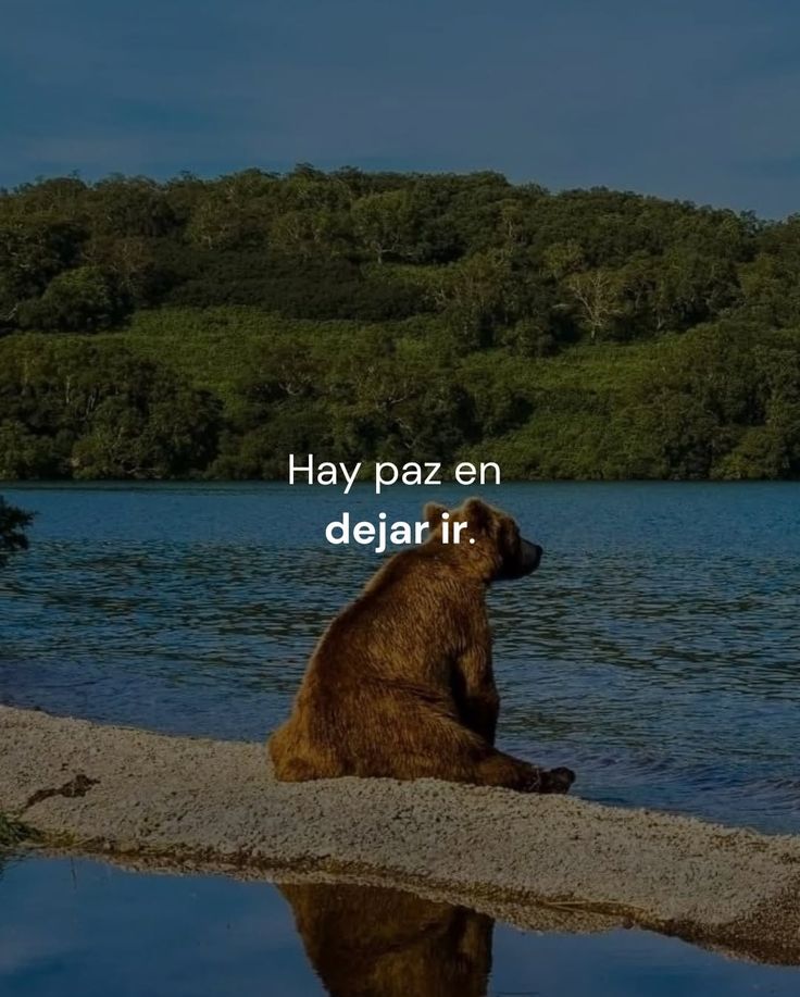 Ubaldo Silva (@silvaubaldoo) on Twitter photo 