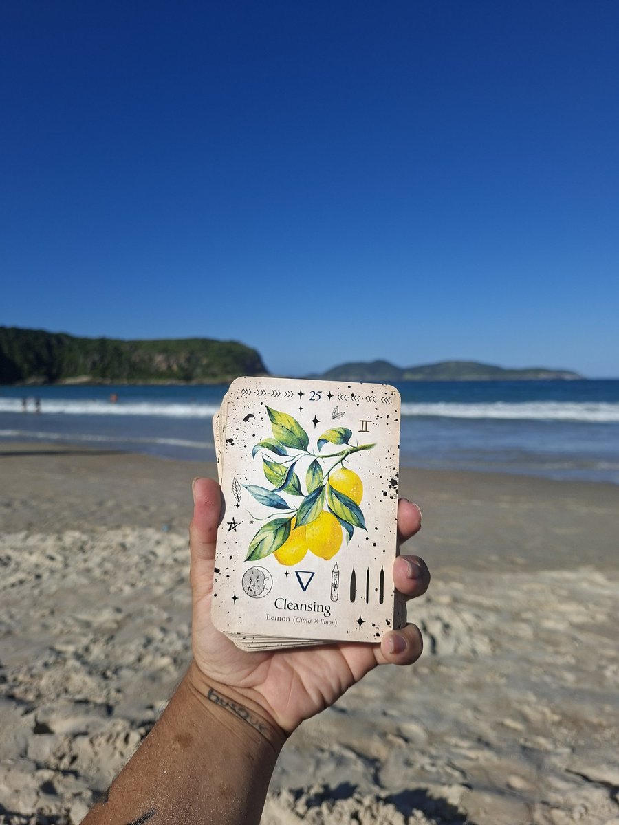 abellabloom's tweet photo. Eu tenho um dos decks de cartas mais lindos do mundo e posso provar: https://t.co/meTOphBruK