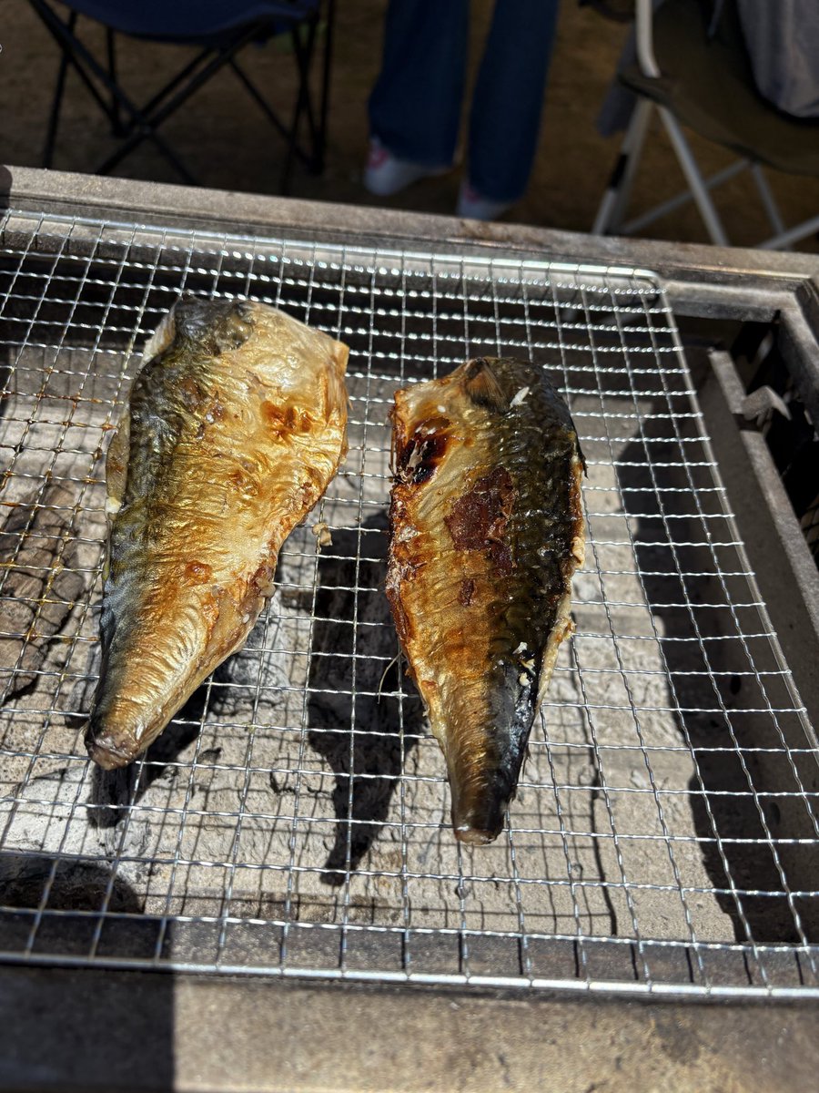 gurakara_kyu's tweet image. 音楽聴きながらBBQ楽しめるの最幸🍖🎶
この自由さと開放感が良い😆🙌
#TAKATSUKIACOUSTICJAMBOREE
#BBQ