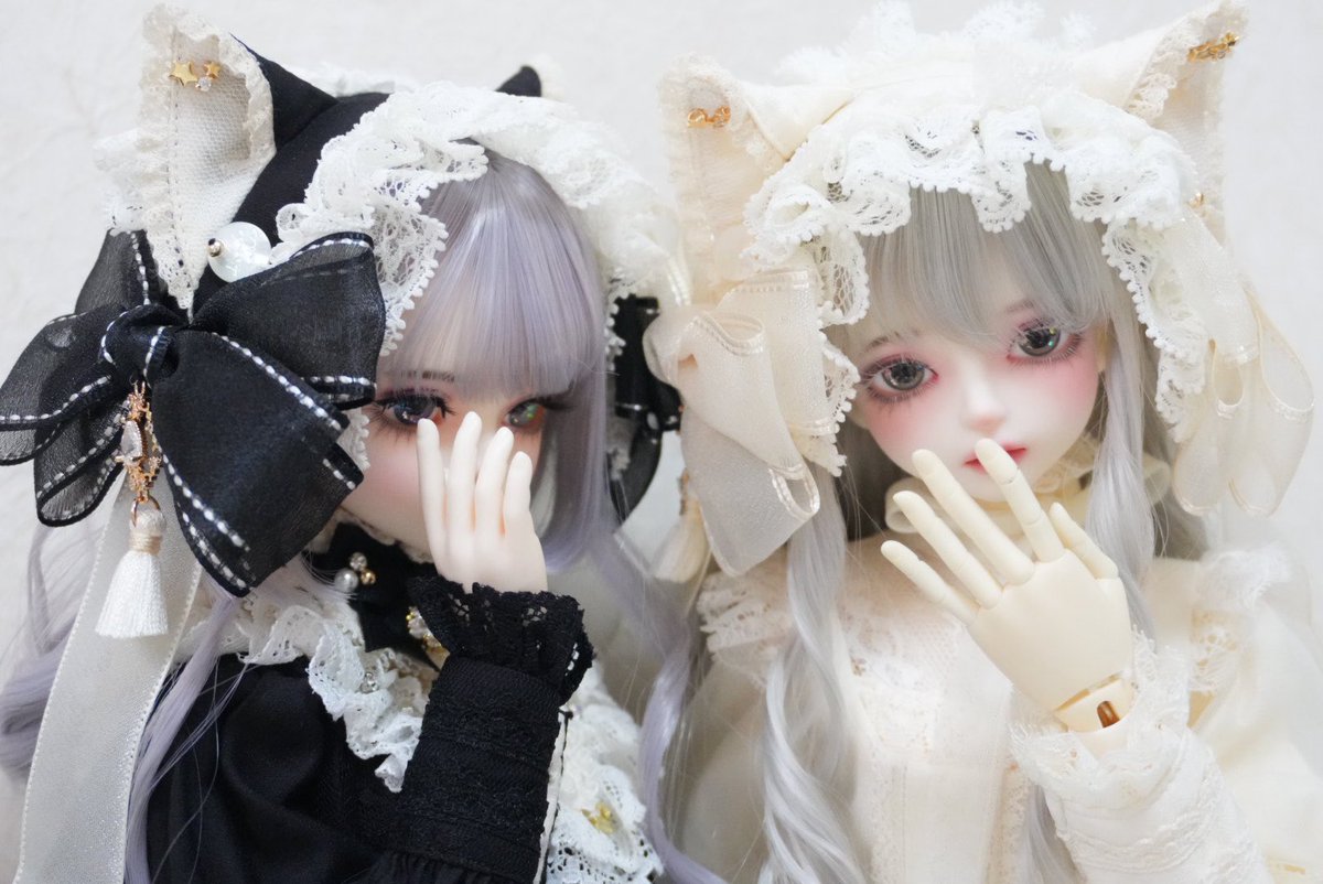 翠 🐈sui🐈‍⬛ tweet media