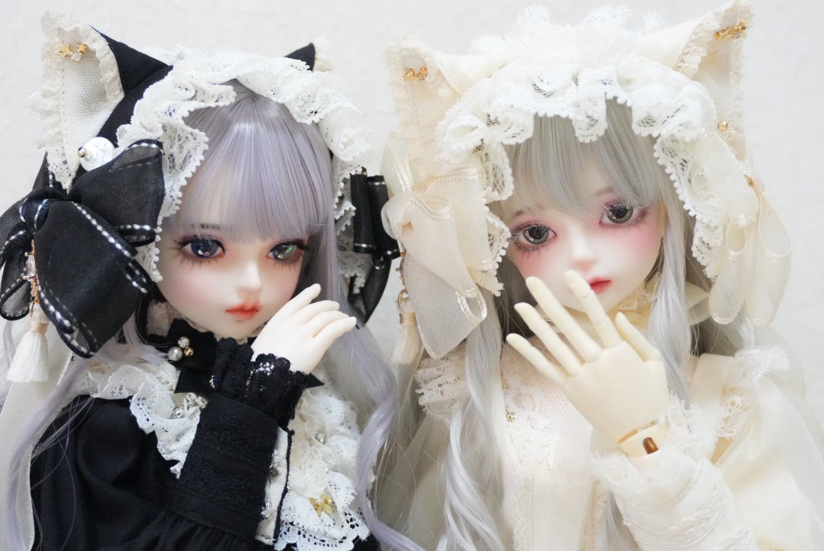 翠 🐈sui🐈‍⬛ tweet media