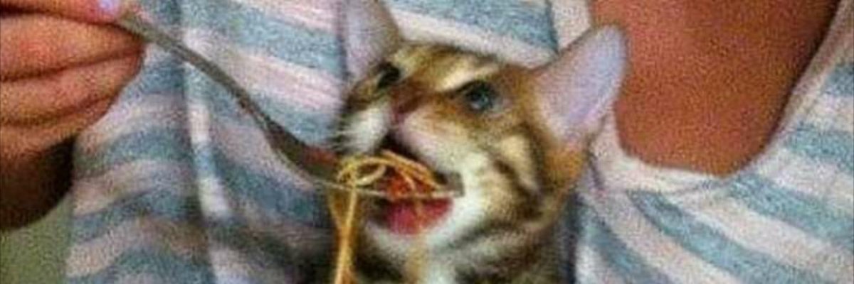 Somethingnice67's tweet photo. No smoking https://t.co/wuhGAdytv0