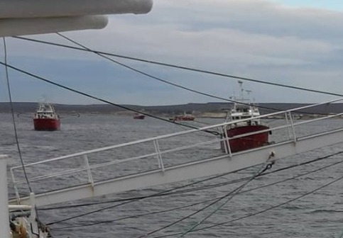 Capitanes de Pesca tweet media