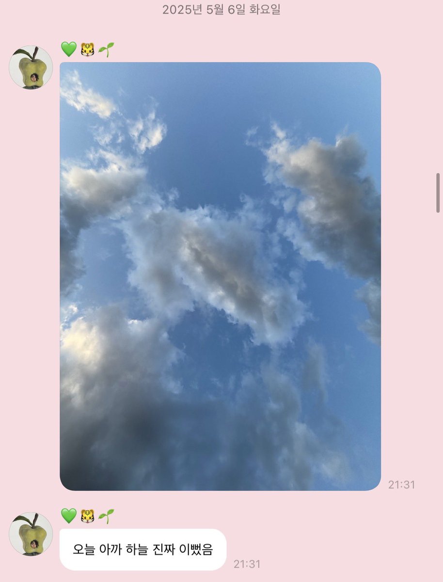 화채 tweet media