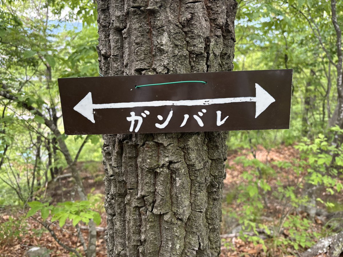 メカマツオが正常に働くために tweet media