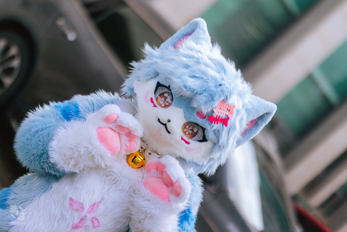 猫又桜🌸(네코마타 사쿠라) tweet media