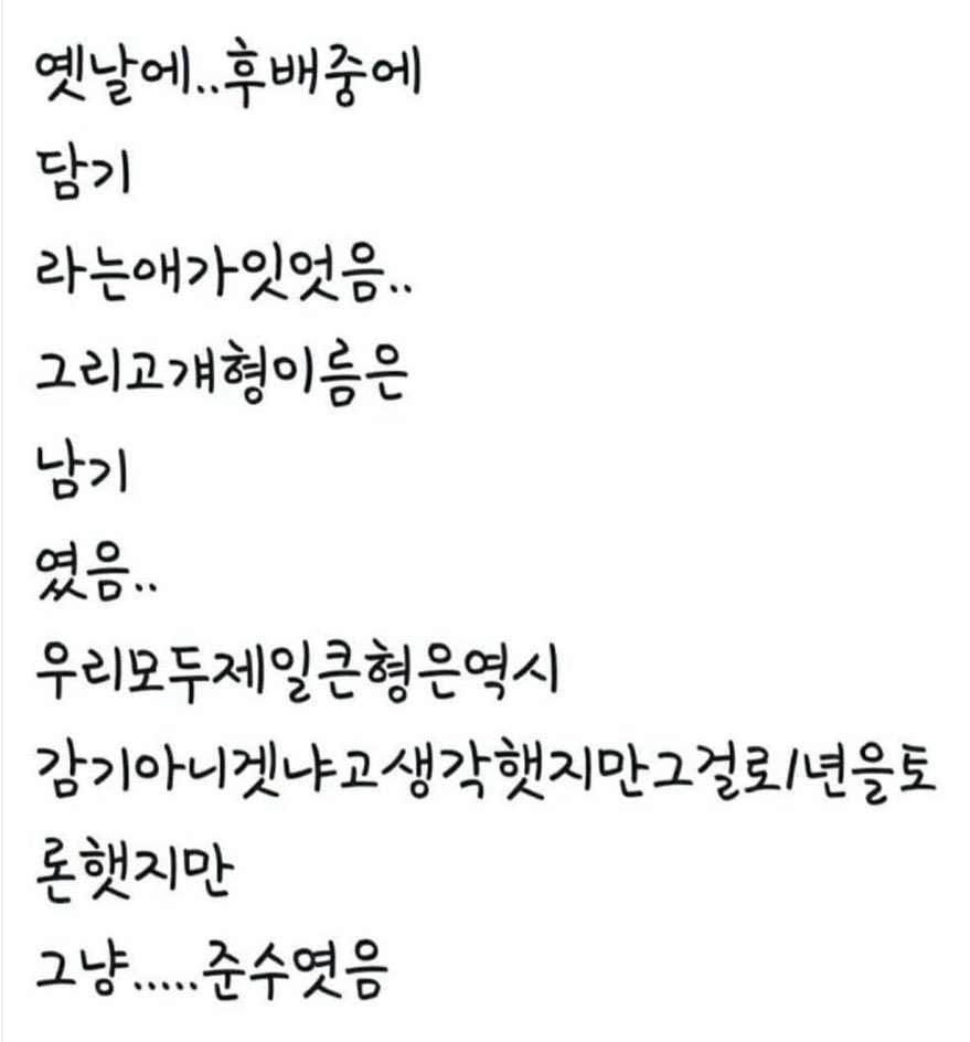 맹이 tweet media