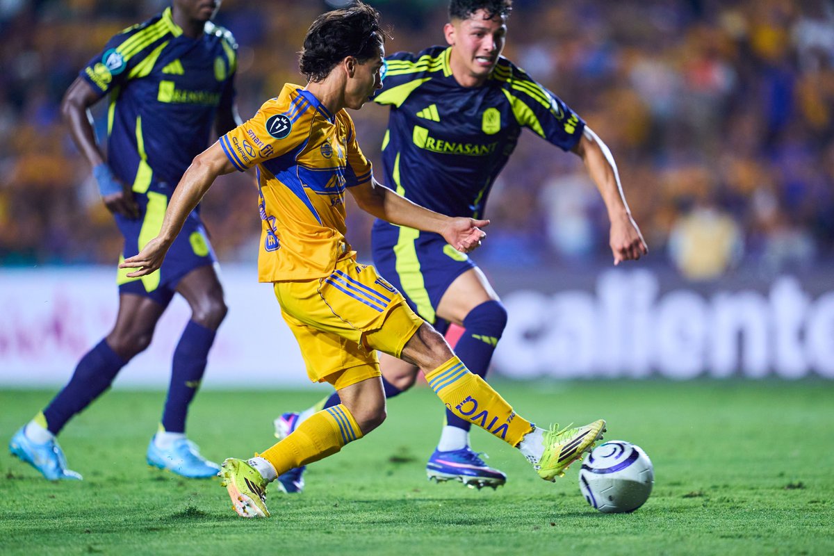 Club Tigres 🐯 tweet media