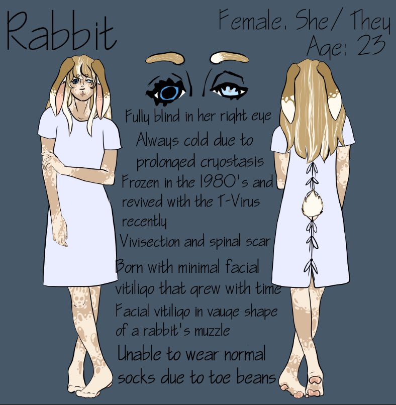 Rabbit tweet media